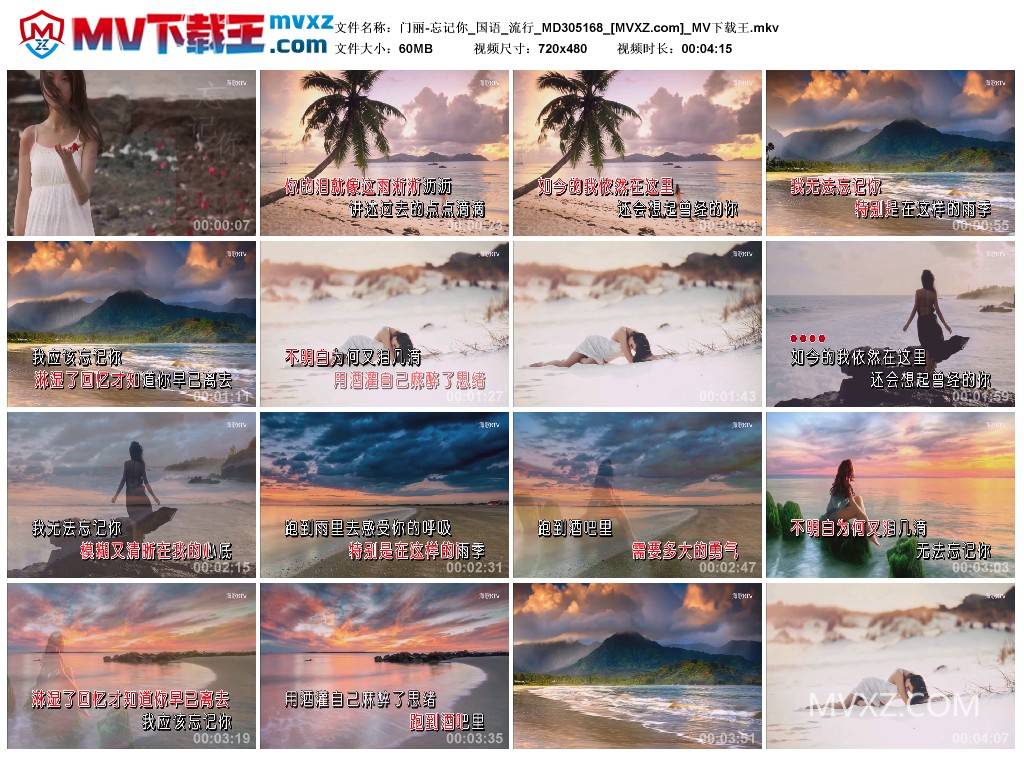 门丽-忘记你_国语_流行_MD305168